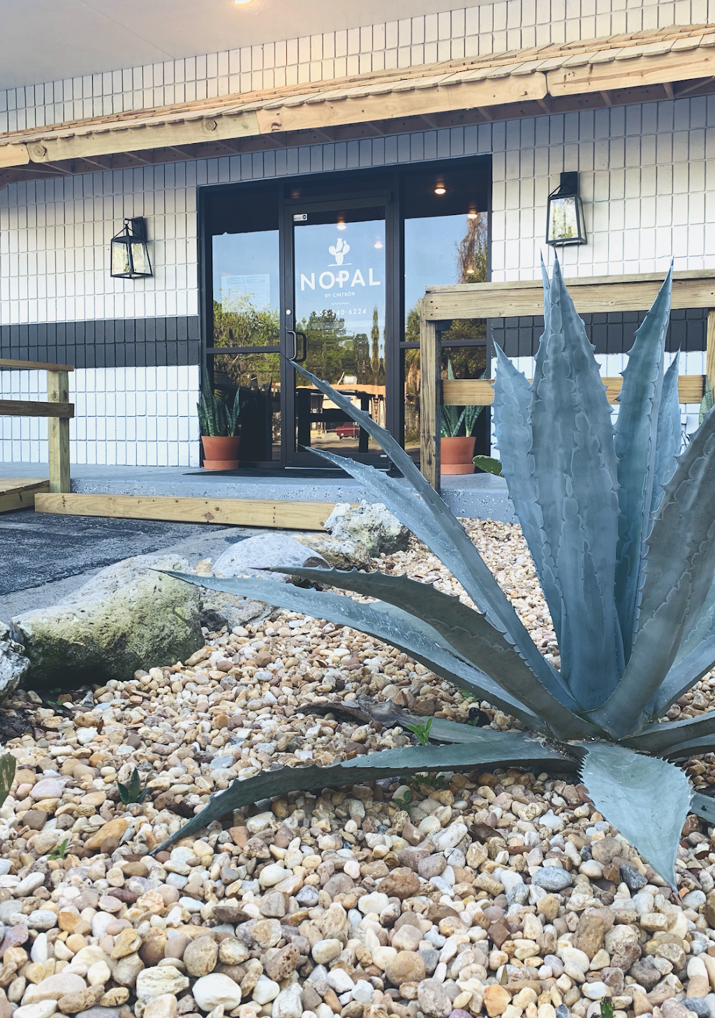 Nopal by Cintrón | restaurant | 5112 NW 34th Blvd, Gainesville, FL 32605, USA | 3522406224 OR +1 352-240-6224