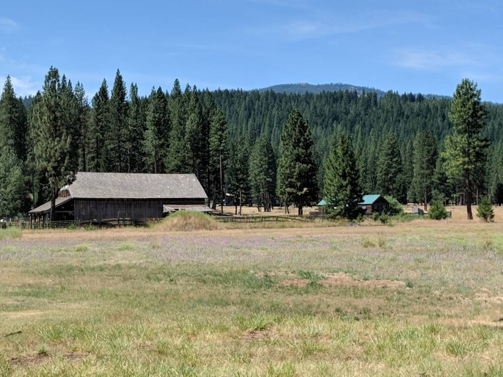 Graeagle Mountain Frostee | restaurant | 28 CA-89, Blairsden-Graeagle, CA 96103, USA | 5308364811 OR +1 530-836-4811