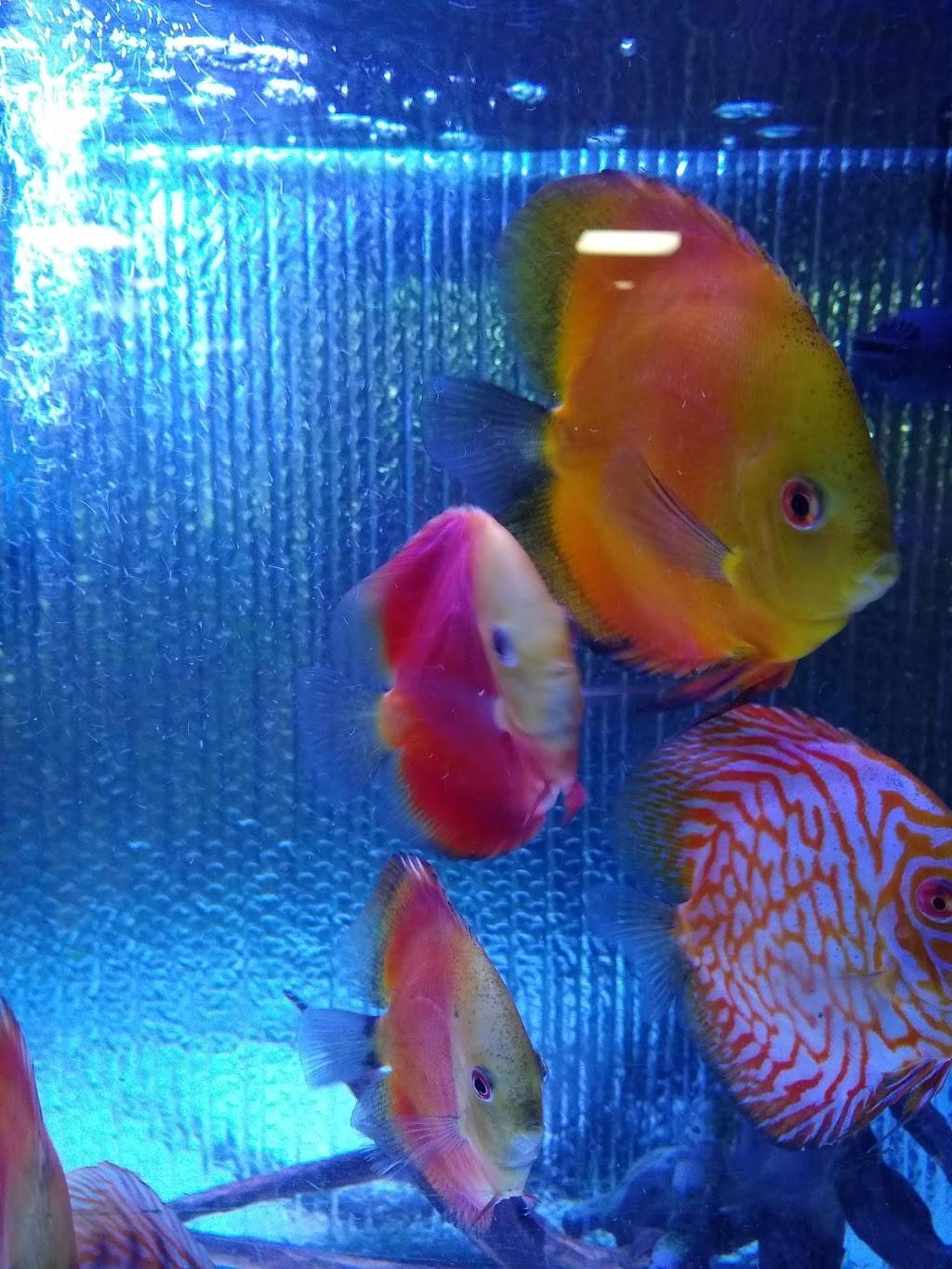 No. 1 Chinese Restaurant | meal delivery | 26 Queen City Ave, Manchester, NH 03103, USA | 6032327552 OR +1 603-232-7552