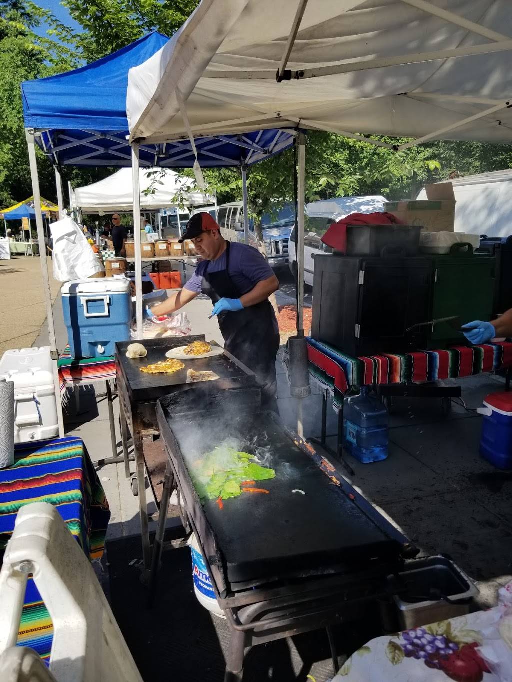 El piquin Restaurant | restaurant | 1520 Country Ridge Ln, Essex, MD 21221, USA | 4435598711 OR +1 443-559-8711