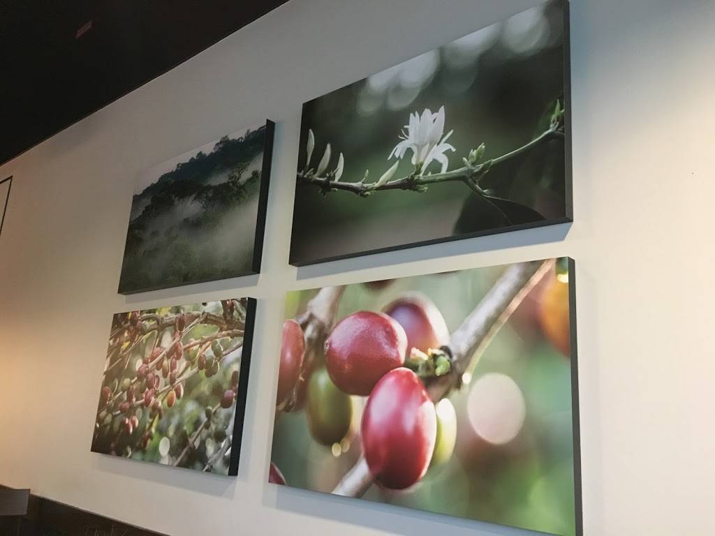 Starbucks | cafe | 2417 S Woodland Blvd, DeLand, FL 32720, USA | 3869561970 OR +1 386-956-1970