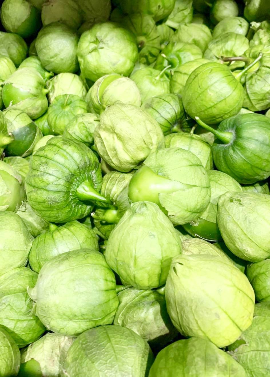 Asian Mart (Fresh vegetables, Japanese, Korean, Indian, Thai, Vi | restaurant | 60D Pearl St, Essex Junction, VT 05452, USA | 8028788802 OR +1 802-878-8802