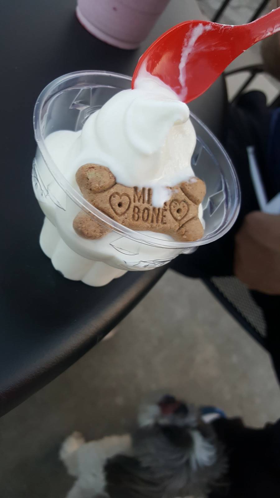 Dairy Queen Grill & Chill | restaurant | 206 W Jackson Blvd, Elkhart, IN 46516, USA | 5742941789 OR +1 574-294-1789