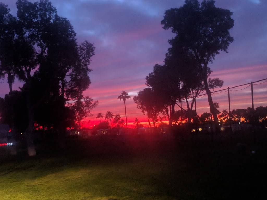 The Roadhaven Cantina | restaurant | 1000 S Idaho Rd, Apache Junction, AZ 85119, USA | 4809834420 OR +1 480-983-4420