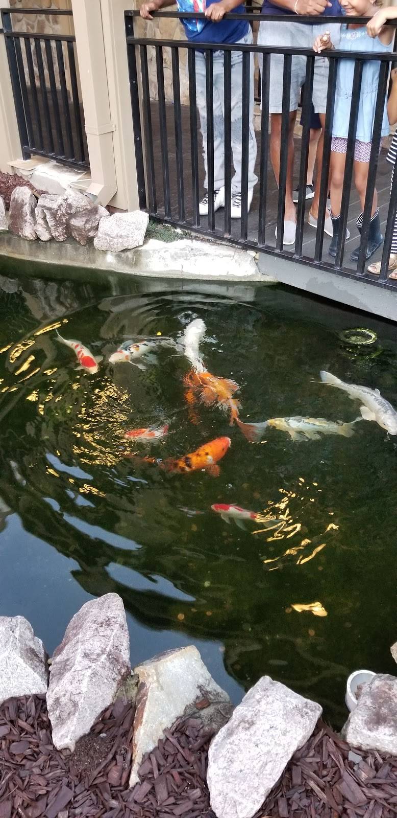 Kanki - North Market Square | restaurant | 1603 N Market Dr, Raleigh, NC 27609, USA | 9198764157 OR +1 919-876-4157