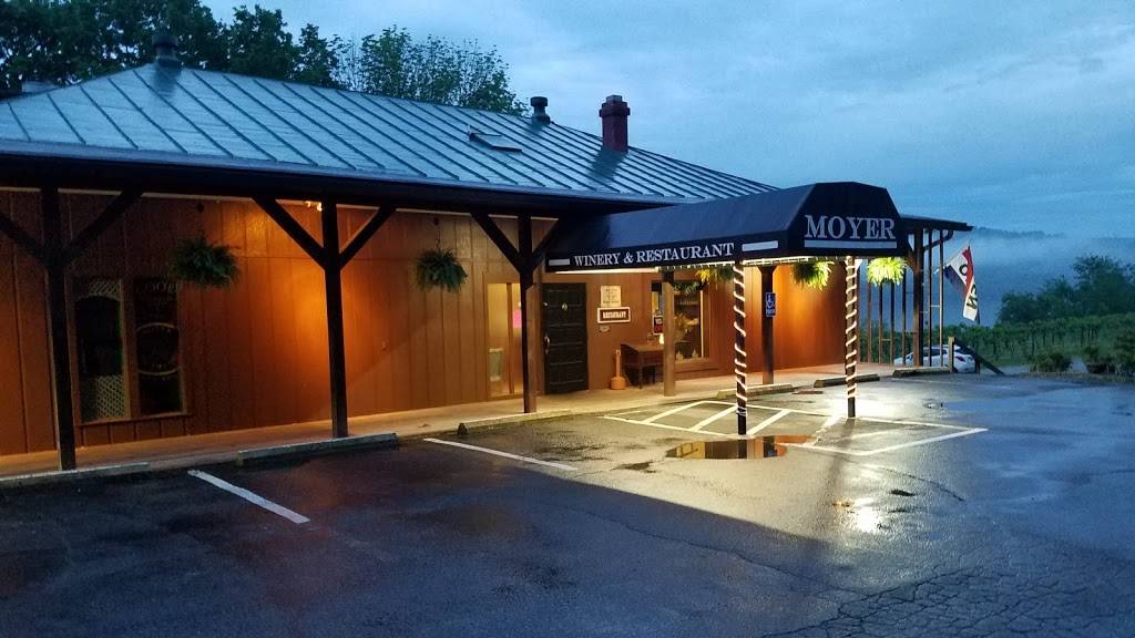 Moyer Winery and Restaurant | restaurant | 3859 US, US-52, Manchester, OH 45144, USA | 9375492957 OR +1 937-549-2957