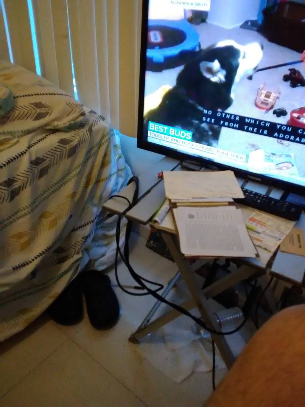 PIZZA ROW RECORDS | restaurant | 433 E 7th St, Los Angeles, CA 90014, USA | 3238523008 OR +1 323-852-3008