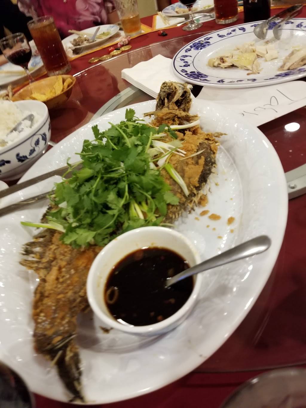 Chinatown Restaurant | meal takeaway | 2059 Pine Ridge Rd, Naples, FL 34109, USA | 2395139881 OR +1 239-513-9881