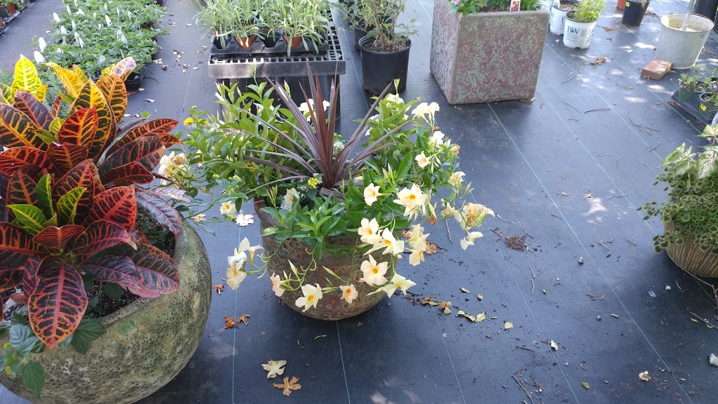 Farm 441 @ Thomas Orchards | restaurant | 6091 Macon Hwy, Bishop, GA 30621, USA | 7067695011 OR +1 706-769-5011