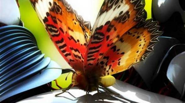 Kotija Taco Shop | restaurant | 5421, 295 E Orange Ave, Chula Vista, CA 91911, USA | 6194263850 OR +1 619-426-3850