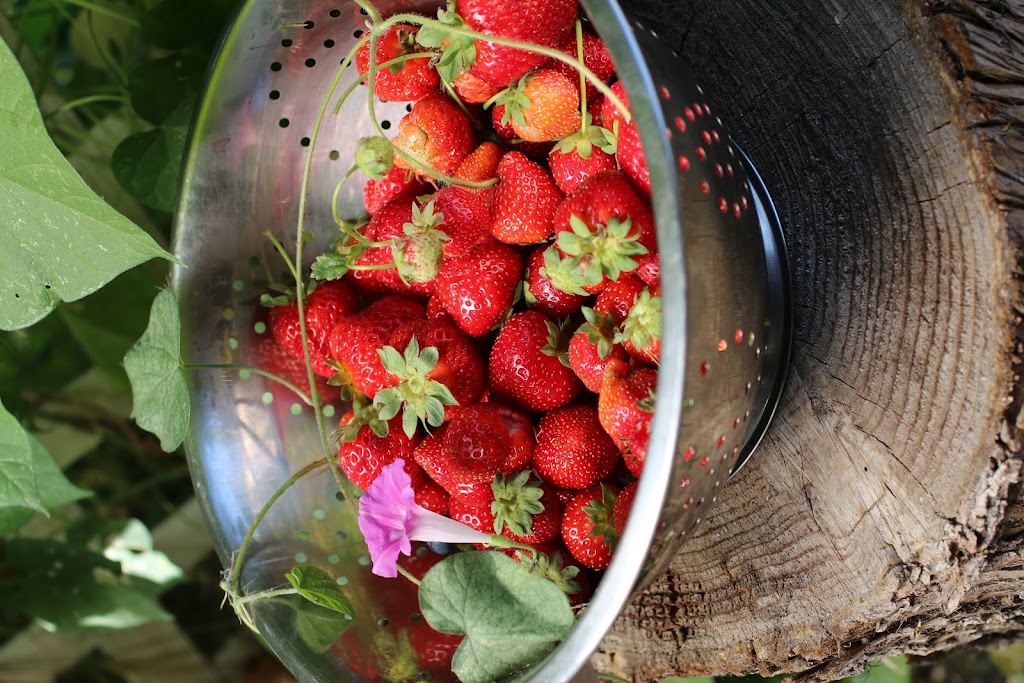 Cakewalk Heirloom Baking Co. | bakery | 5023 Main St, Coulterville, CA 95311, USA | 5083679049 OR +1 508-367-9049