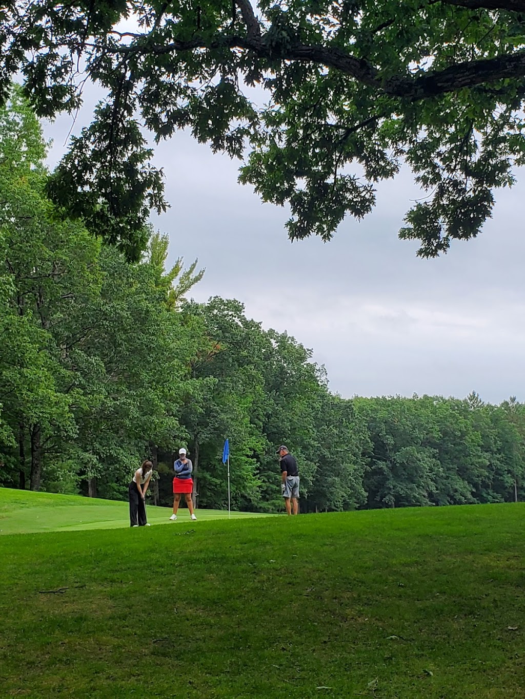 Indian River Golf Club | restaurant | 3301 Chippewa Beach Rd, Indian River, MI 49749, USA | 2312387011 OR +1 231-238-7011