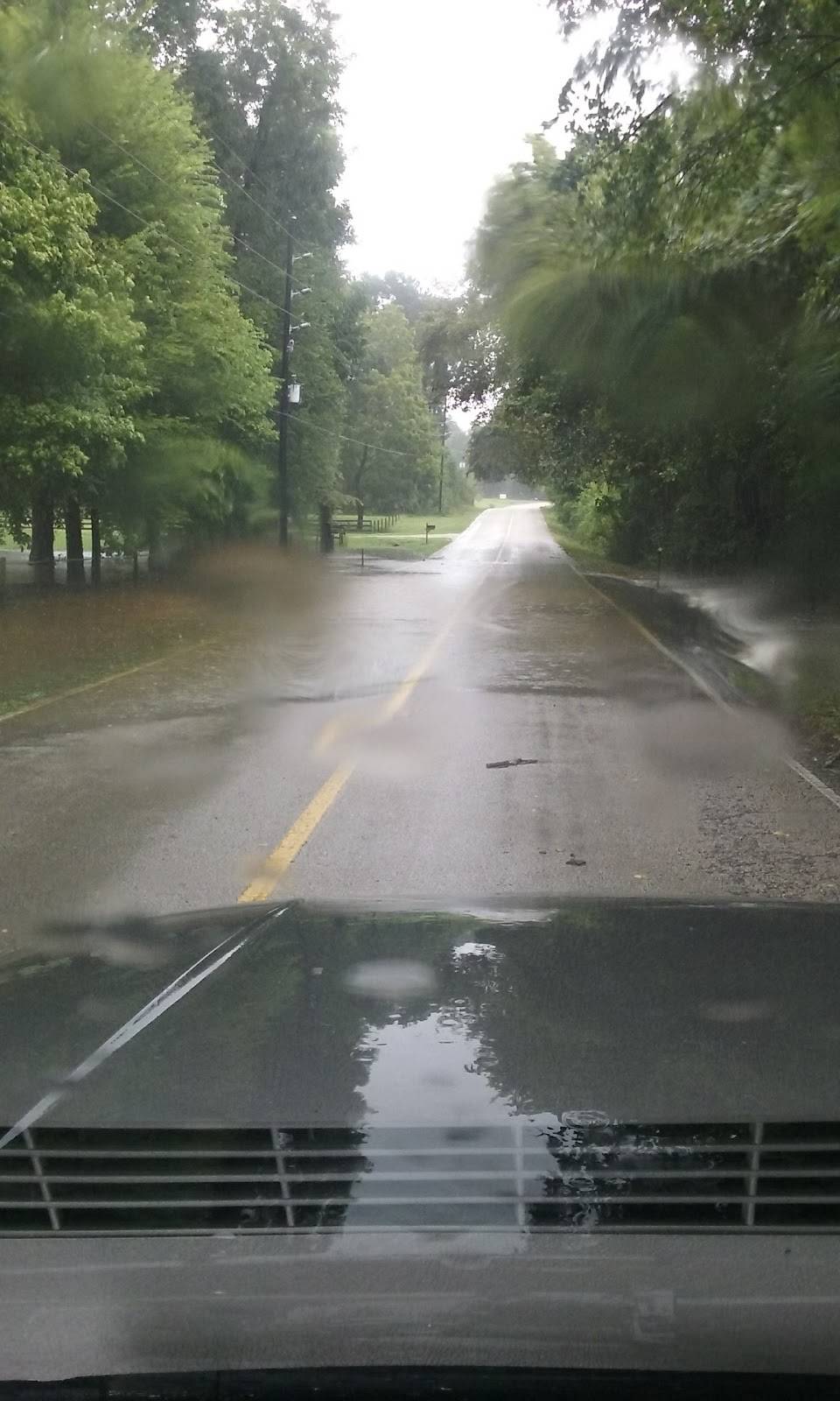 Piney Woods Mart | restaurant | 11845 Calvary Rd, Willis, TX 77318, USA | 9367014090 OR +1 936-701-4090