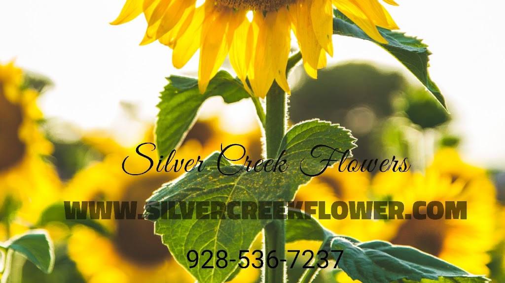 Silver Creek Flowers LLC | restaurant | 681 S Main St, Snowflake, AZ 85937, USA | 9285367237 OR +1 928-536-7237