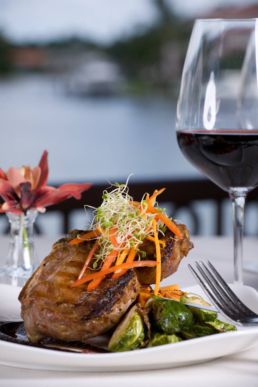 M Waterfront Grille | restaurant | The Village on Venetian Bay, 4300 Gulf Shore Blvd N, Naples, FL 34103, USA | 2392634421 OR +1 239-263-4421