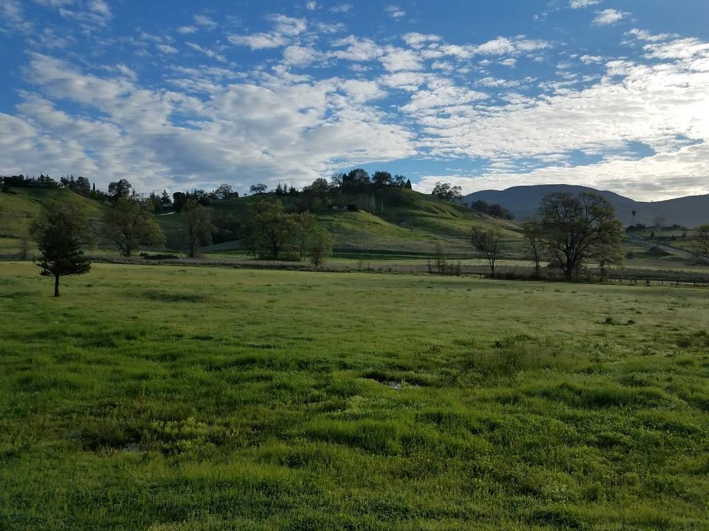 Starbucks | cafe | 1198 S Cloverdale Blvd, Cloverdale, CA 95425, USA | 7078944637 OR +1 707-894-4637