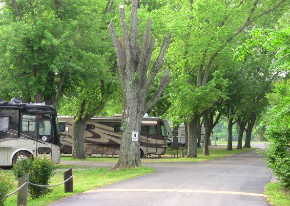 Shady Cove Resort, Marina & Campground LLC | restaurant | 1115 Shady Cove Rd, Castalian Springs, TN 37031, USA | 6154528010 OR +1 615-452-8010