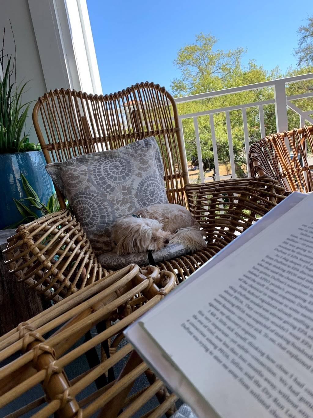 Karma Juice Bar & Eatery | restaurant | 201 Main St, Safety Harbor, FL 34695, USA | 7274745641 OR +1 727-474-5641