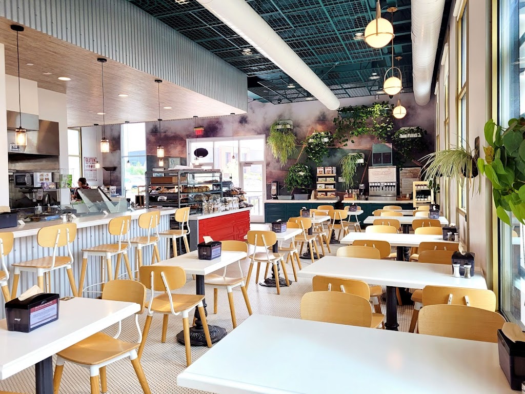 House of Bread | bakery | 1025 Farmhouse Ln, San Luis Obispo, CA 93401, USA | 8055920255 OR +1 805-592-0255