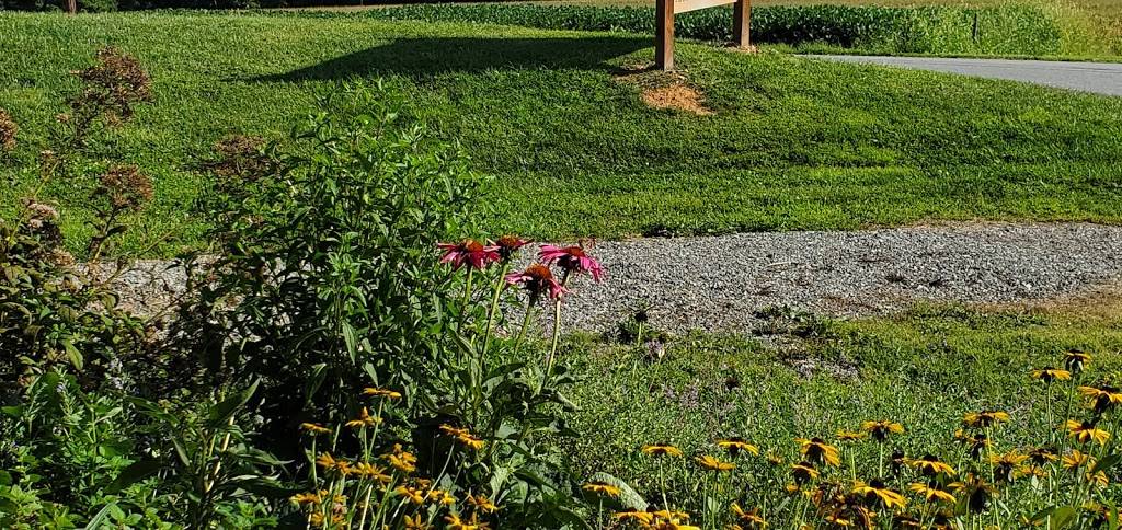 DiFrancesco Meadery | restaurant | 1237 Trinity North Rd, Wrightsville, PA 17368, USA | 2672407878 OR +1 267-240-7878