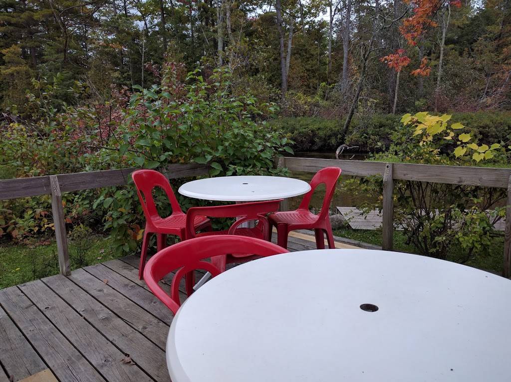 Riverfront Pizza & Deli | restaurant | 6281 River Rd, Glen Arbor, MI 49636, USA | 2313343876 OR +1 231-334-3876