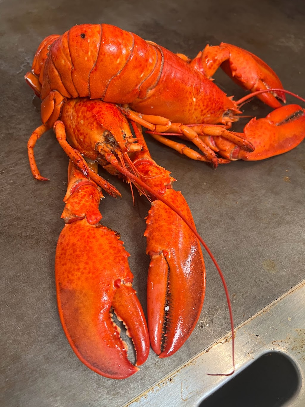 Cafe Kottu | restaurant | 9006 S Fry Rd B, Katy, TX 77494, USA | 9096355960 OR +1 909-635-5960