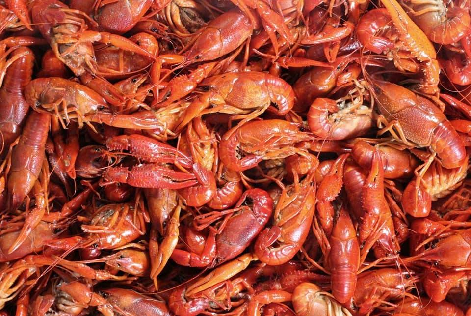 Boyds One Stop | restaurant | 227 Dike Road Building #1, Texas City, TX 77590, USA | 4099454001 OR +1 409-945-4001