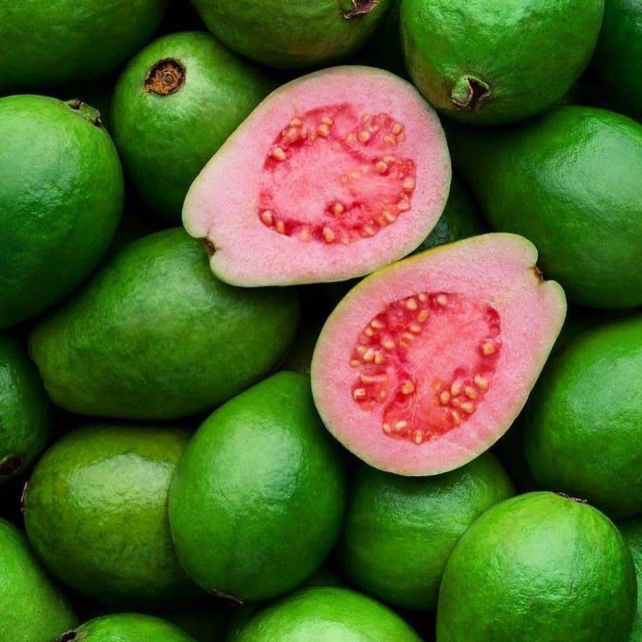 Jahnets Jamaican Cuisine | restaurant | 3810 S State Rd 7 Unit E, Miramar, FL 33023, USA | 9542572828 OR +1 954-257-2828