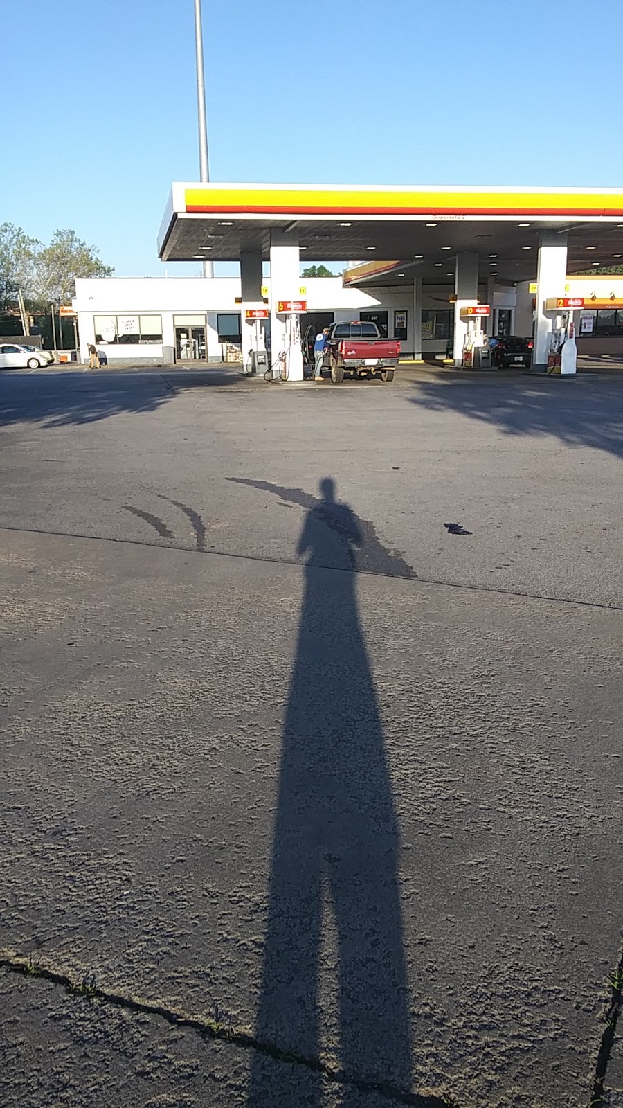 Shell | restaurant | 607 Twin Oaks Dr, Johnson City, TN 37601, USA | 4239299040 OR +1 423-929-9040