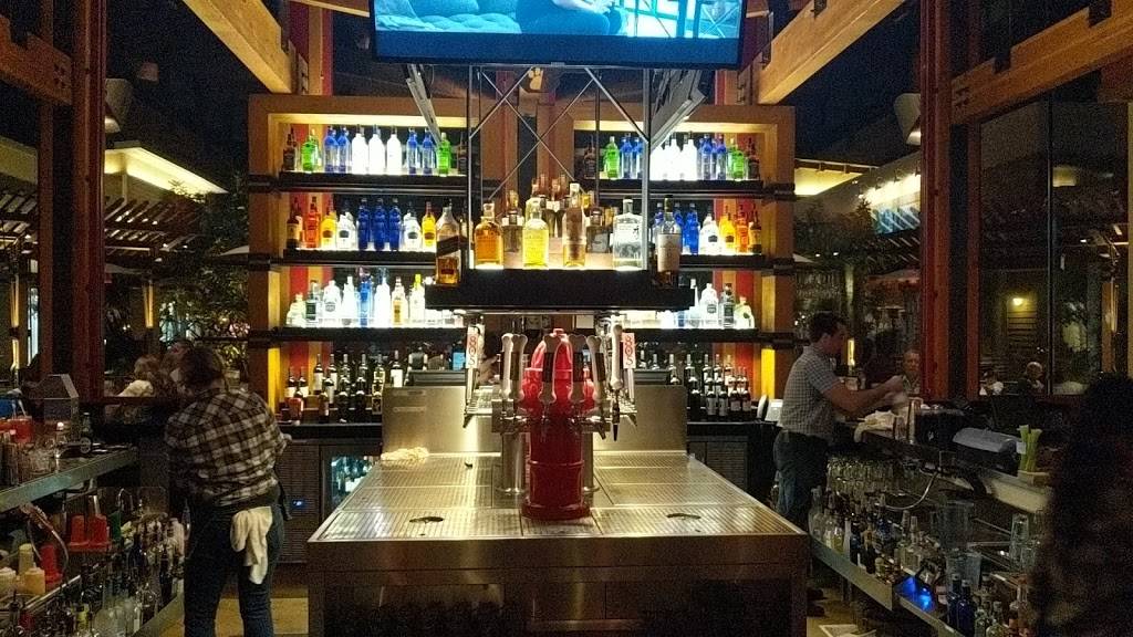 Lazy Dog Restaurant & Bar | restaurant | 598 Town Center Dr, Oxnard, CA 93036, USA | 8053514888 OR +1 805-351-4888