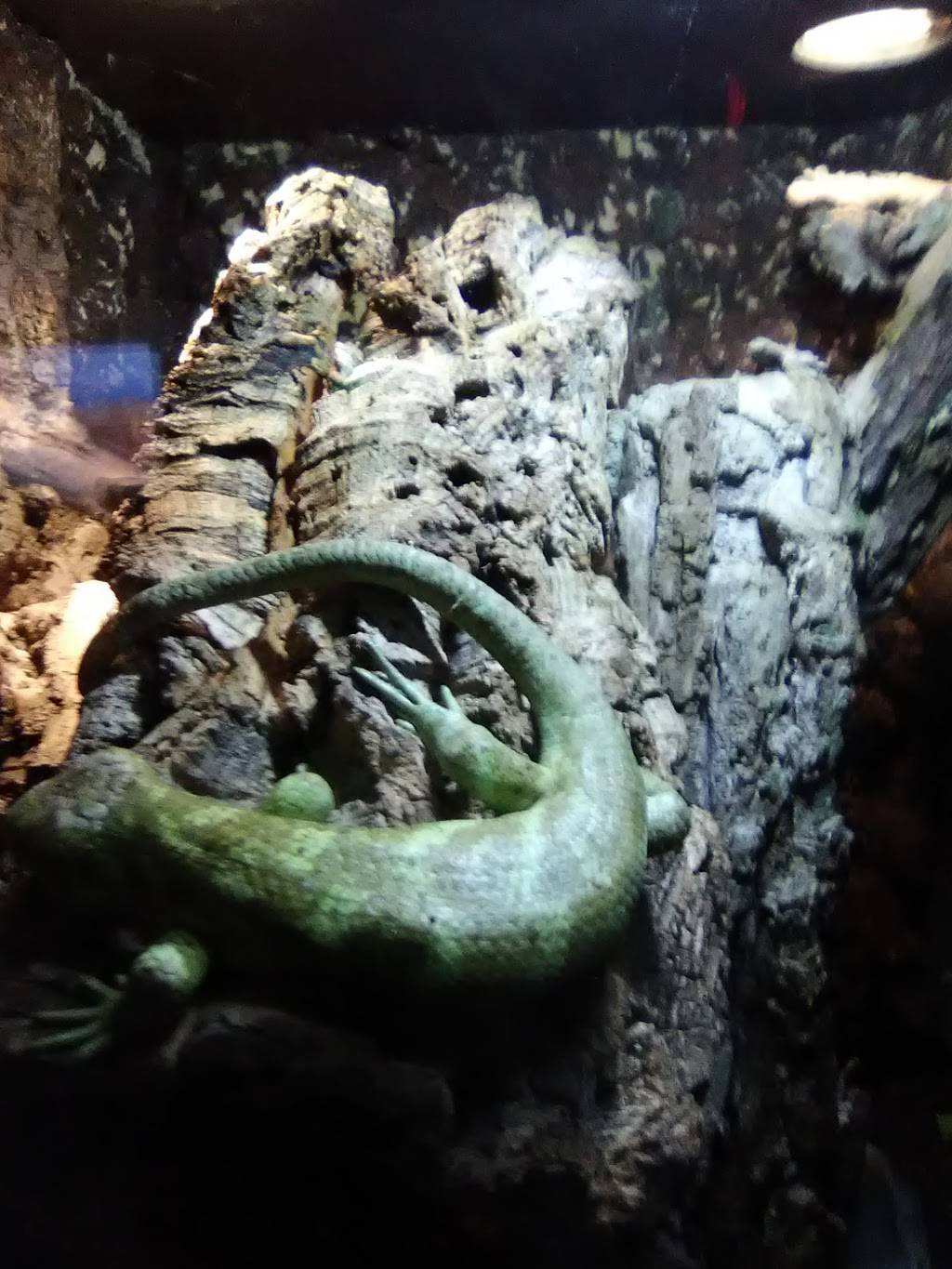 Culinary Experts | restaurant | 1825 W Chew St, Allentown, PA 18104, USA | 6108200800 OR +1 610-820-0800