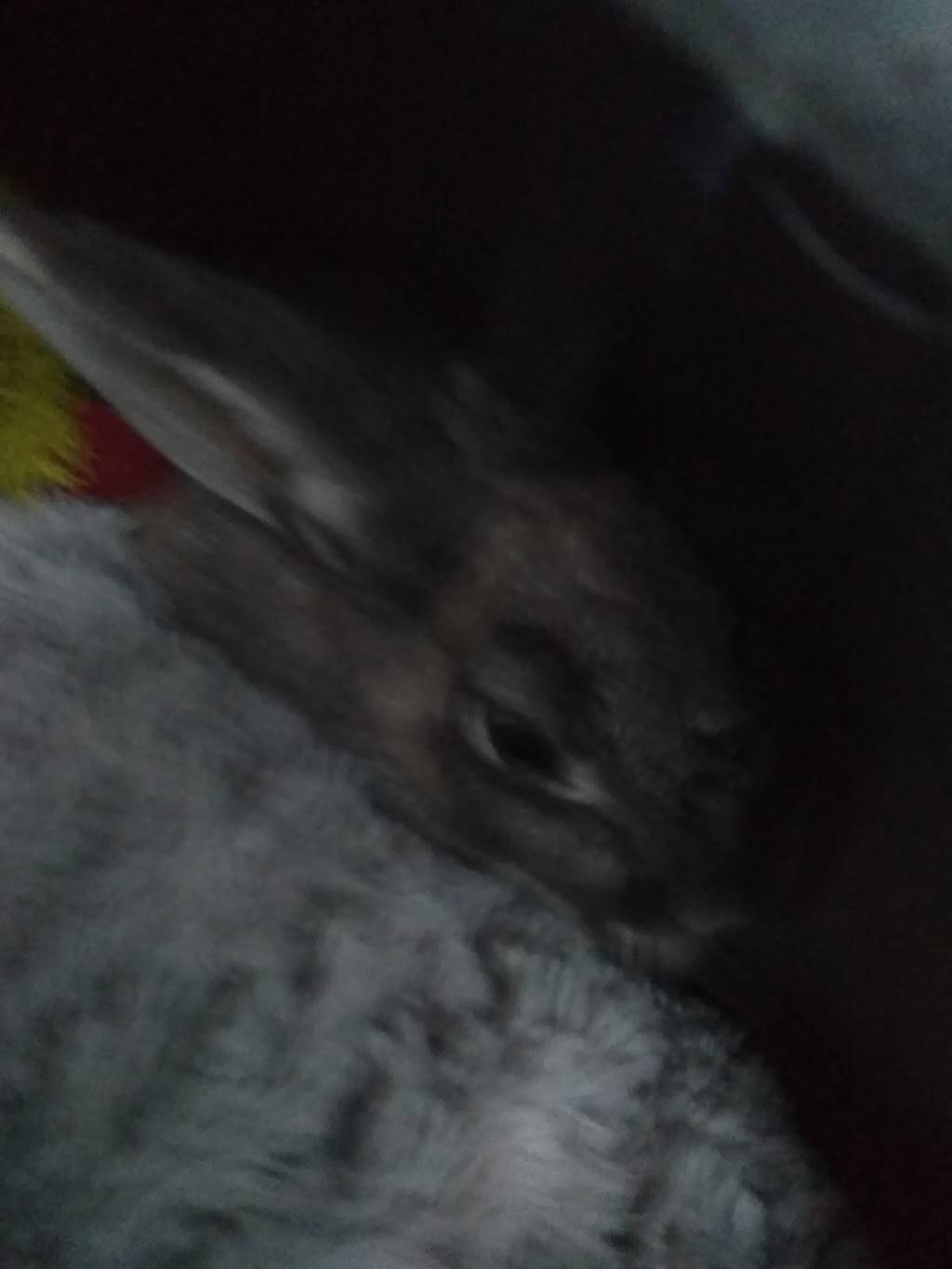 Santo Nino De Atocha | restaurant | 2130 Virginia Ave, Bakersfield, CA 93307, USA | 6614478899 OR +1 661-447-8899