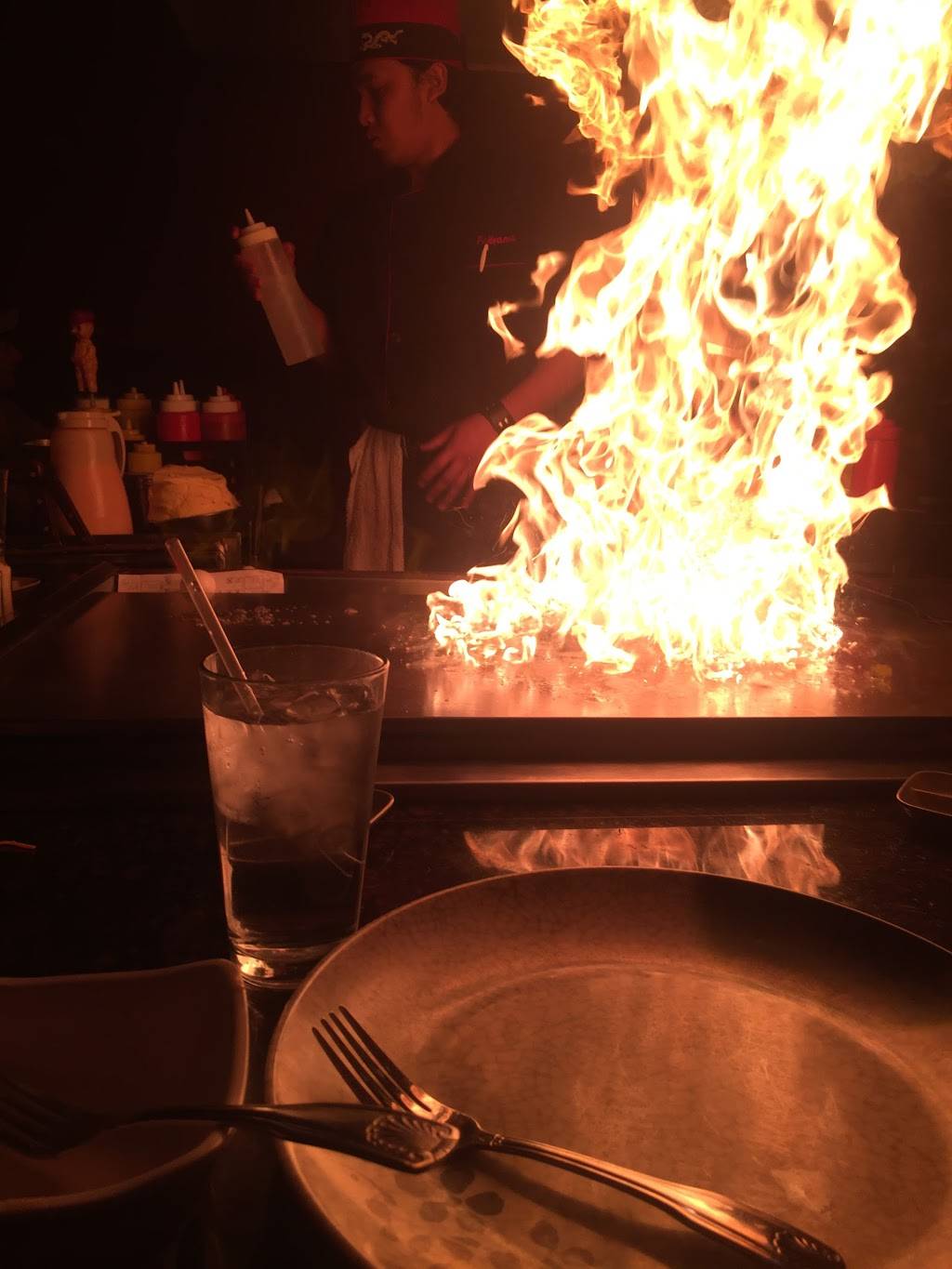 Fujiyama Japanese Cuisine | restaurant | 225 N Giant City Rd, Carbondale, IL 62901, USA | 6185492000 OR +1 618-549-2000