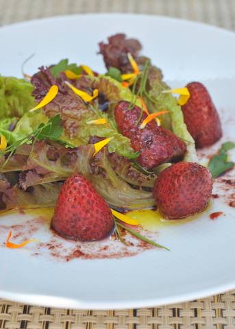 Zut! | restaurant | 1820 Fourth St, Berkeley, CA 94710, USA | 5106440444 OR +1 510-644-0444