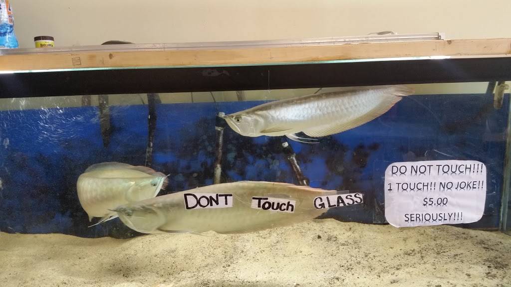 China Garden Restaurant | restaurant | 3435 Wrightsboro Rd, Augusta, GA 30909, USA | 7066678888 OR +1 706-667-8888