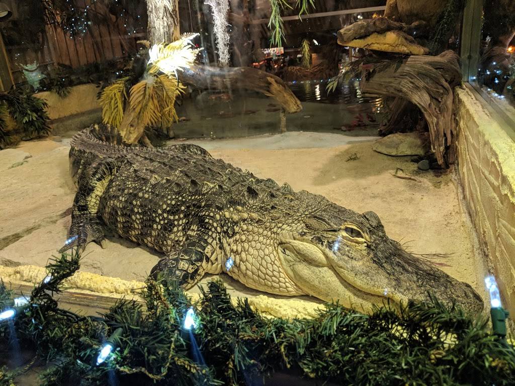 Clarks Fish Camp Seafood Restaurant | restaurant | 12903 Hood Landing Rd, Jacksonville, FL 32258, USA | 9042683474 OR +1 904-268-3474