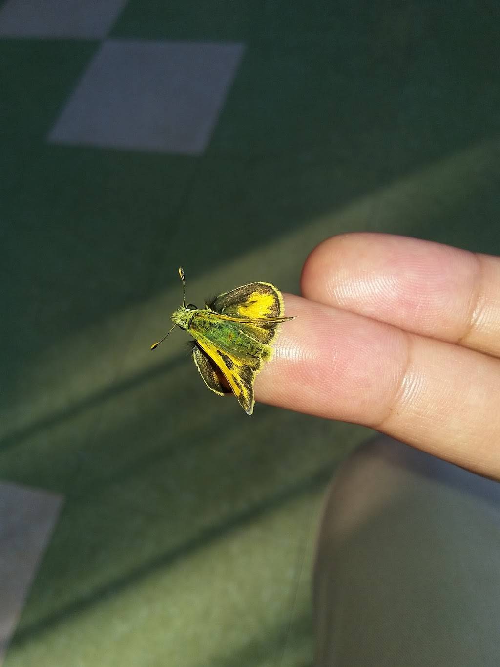 Papa Murphys Take N Bake Pizza | meal takeaway | 1929 Broadway, Alameda, CA 94501, USA | 5108654777 OR +1 510-865-4777