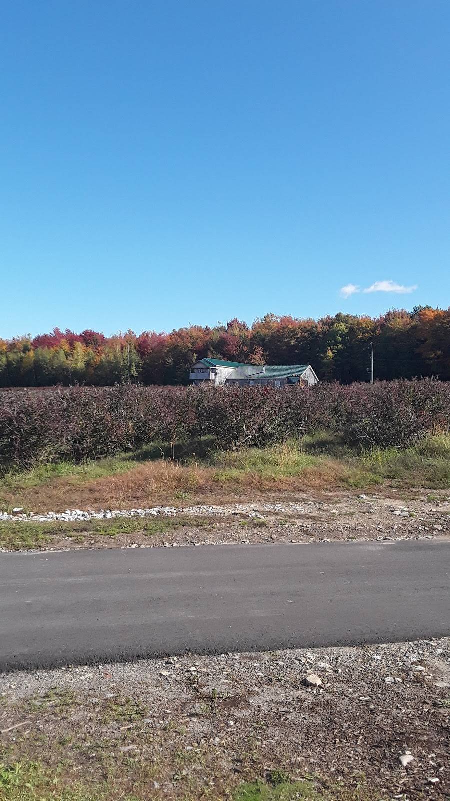 Le Pavillon Du Verger | restaurant | 2232 Montée Brooks, Franklin, QC J0S 1E0, Canada | 4508272742 OR +1 450-827-2742