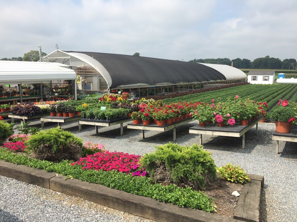 SPOOKYNOOK Produce, Greenhouse, & More | bakery | 821 Landisville Rd #8649, Manheim, PA 17545, USA | 7178983990 OR +1 717-898-3990