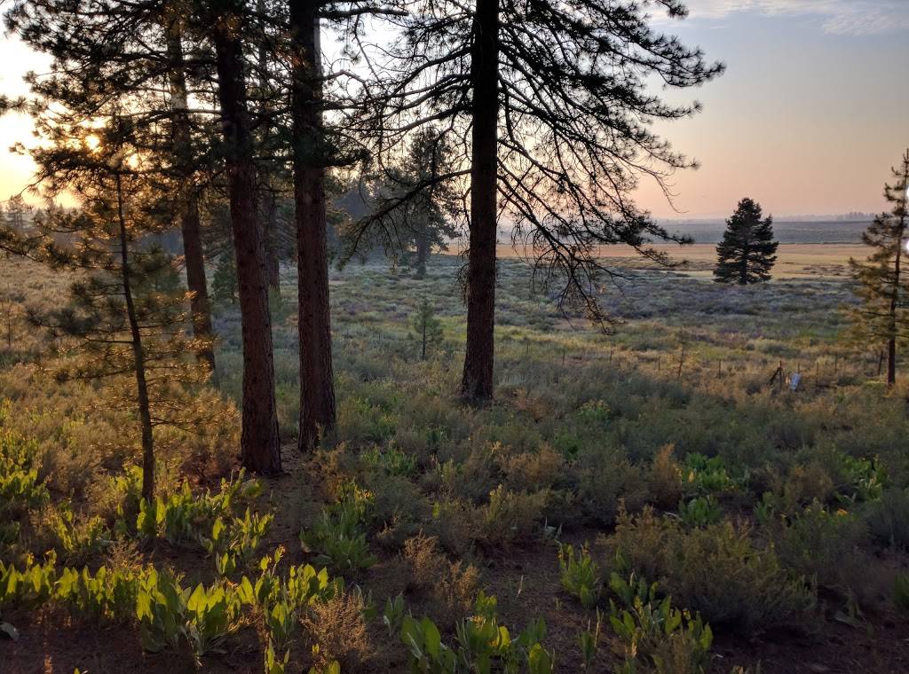 Northstar California Resort | restaurant | 5001 Northstar Dr, Truckee, CA 96161, USA | 5305622267 OR +1 530-562-2267