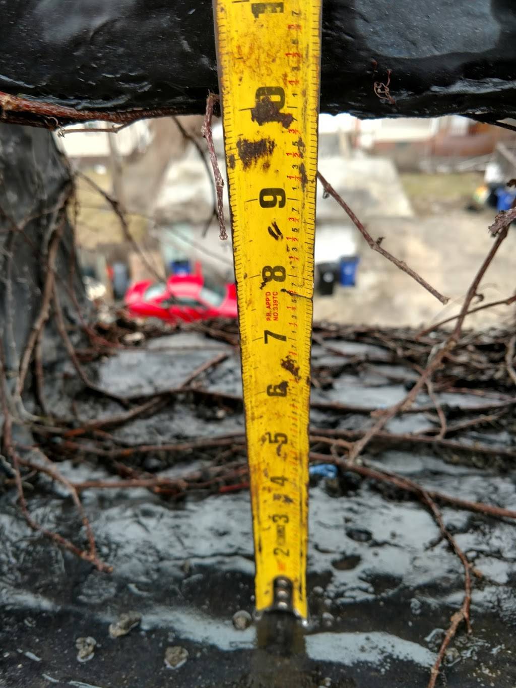 El Taino | restaurant | 3038 Scranton Rd, Cleveland, OH 44113, USA | 2166214888 OR +1 216-621-4888