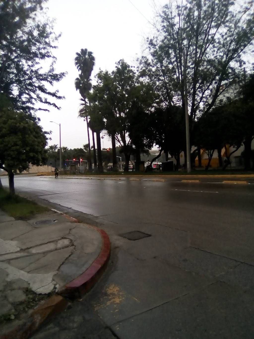 Subway | restaurant | 10093-A, Paseo de los Héroes, Zona Urbana Rio Tijuana, 22010 Tijuana, B.C., Mexico | 016643968999 OR +52 664 396 8999