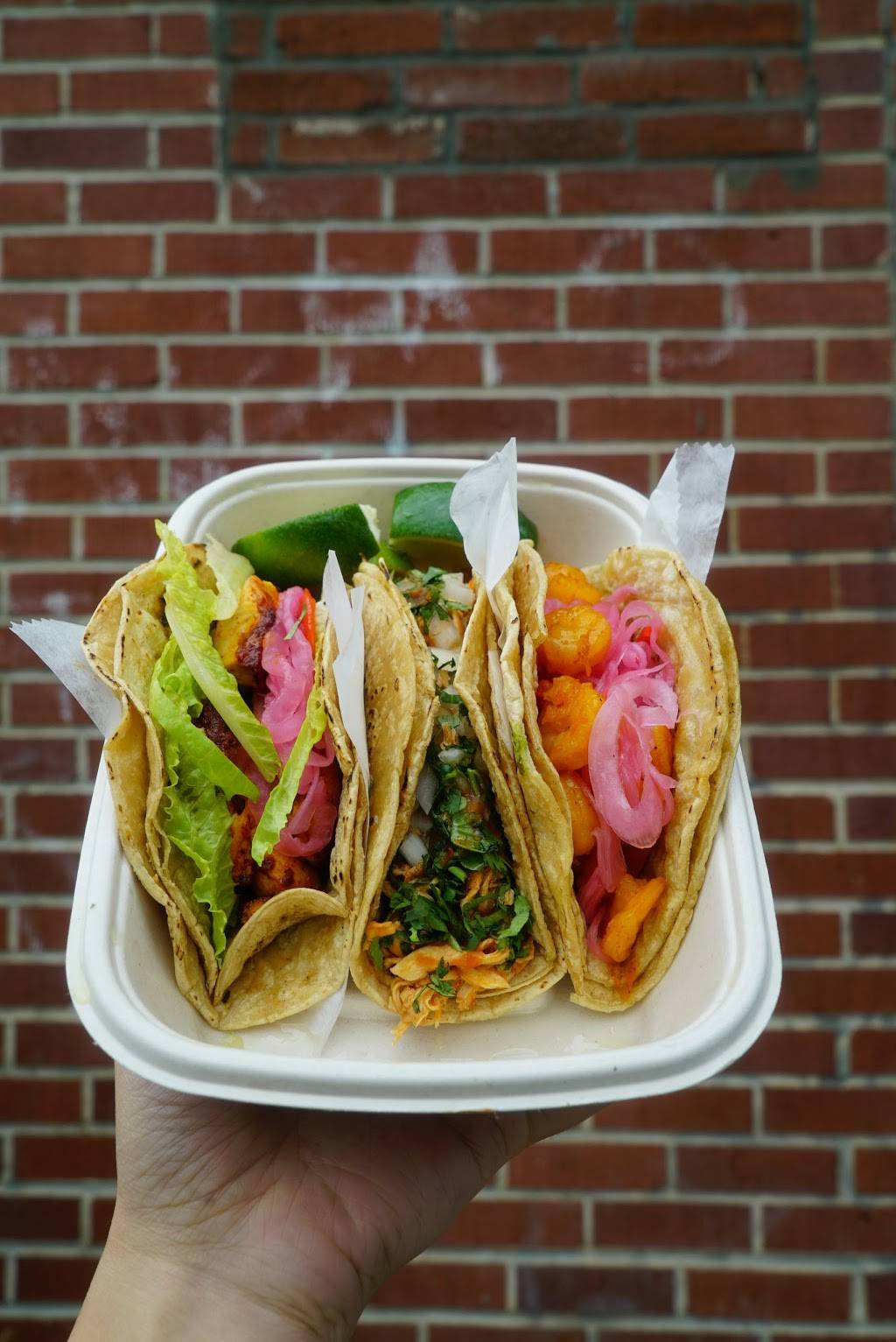 El Gallo Taqueria | restaurant | 214 Highlawn Ave, Brooklyn, NY 11223, USA | 9176682332 OR +1 917-668-2332