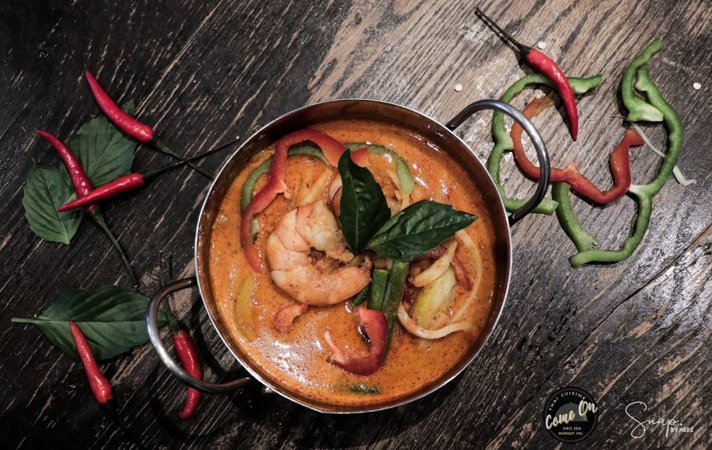 Come On Thai Cuisine | restaurant | 7803 3rd Ave, Brooklyn, NY 11209, USA | 3475606666 OR +1 347-560-6666