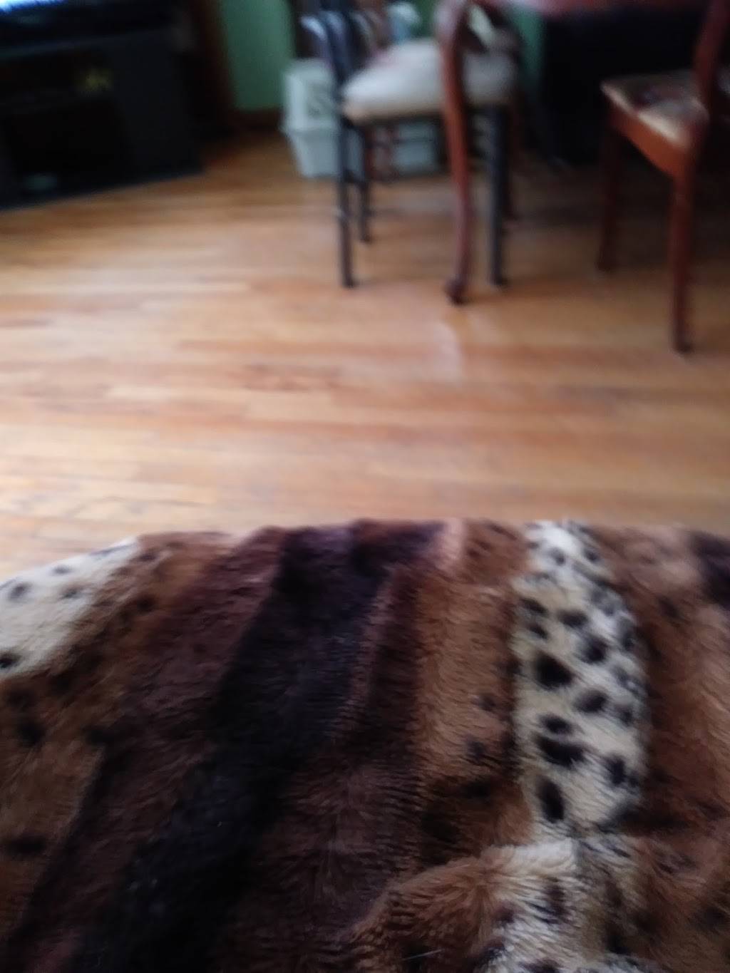 Dunkin | bakery | 433 Chestnut St, Oneonta, NY 13820, USA | 6074319642 OR +1 607-431-9642