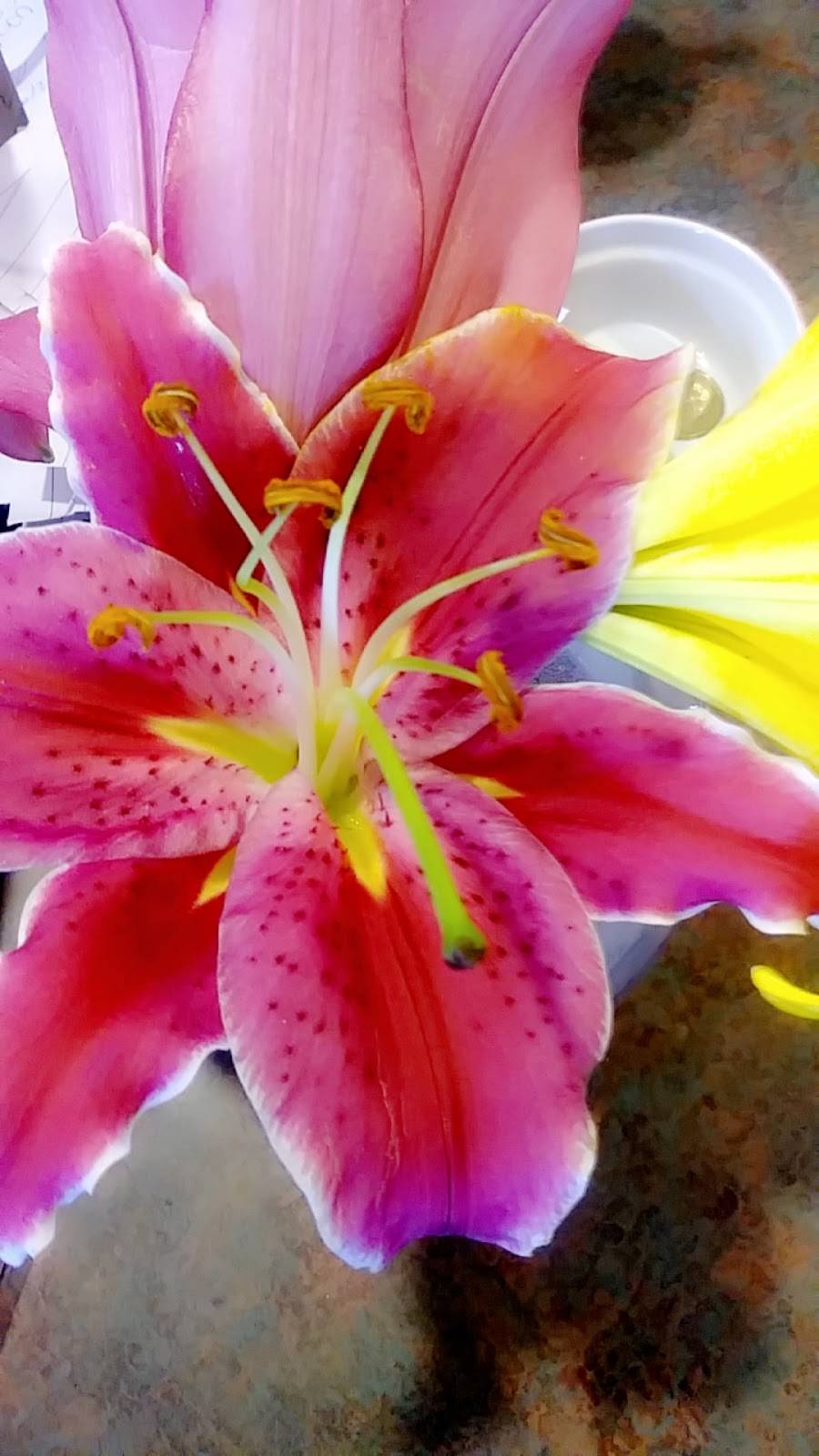 Jennies | restaurant | 83 Queen St E, St. Marys, ON N4X 1C5, Canada | 5192840004 OR +1 519-284-0004