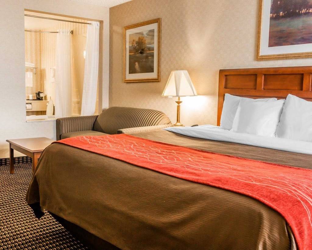 Comfort Inn | restaurant | 11401 Hall Rd, Utica, MI 48317, USA | 5867397111 OR +1 586-739-7111