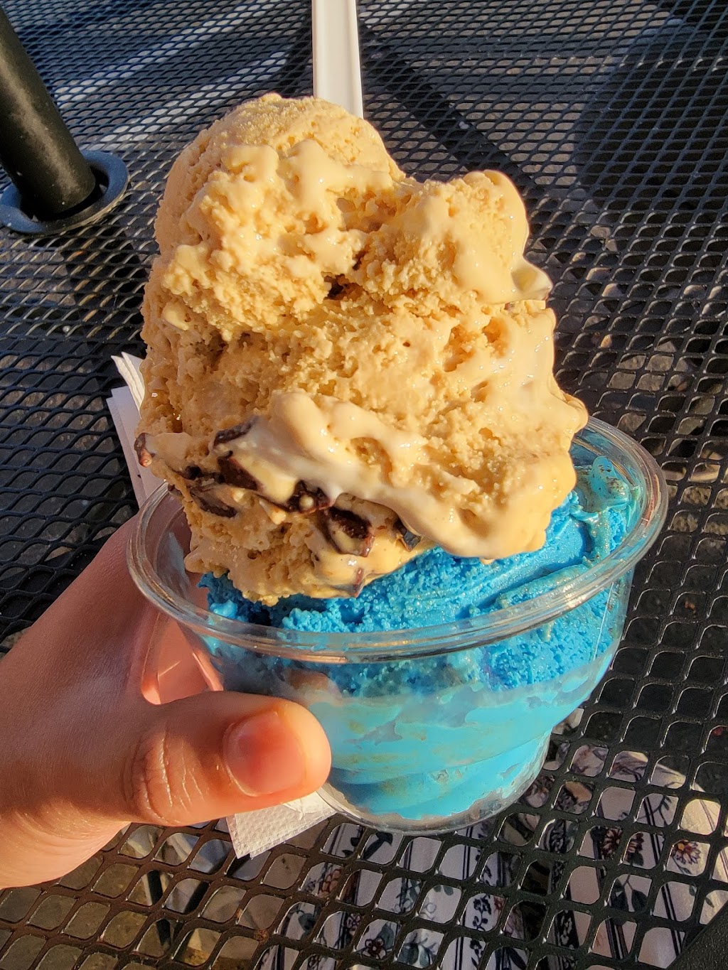 Handels Homemade Ice Cream | meal takeaway | 23615 El Toro Rd ste y 2, Lake Forest, CA 92630, USA | 9494464463 OR +1 949-446-4463