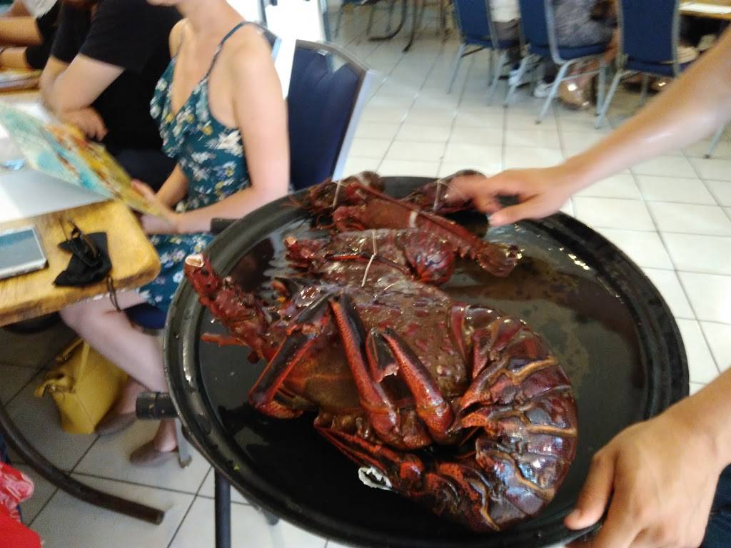 Restaurant Chela | restaurant | Chinchorro 11, 22700 Puerto Nuevo, B.C., Mexico | 016616141342 OR +52 661 614 1342