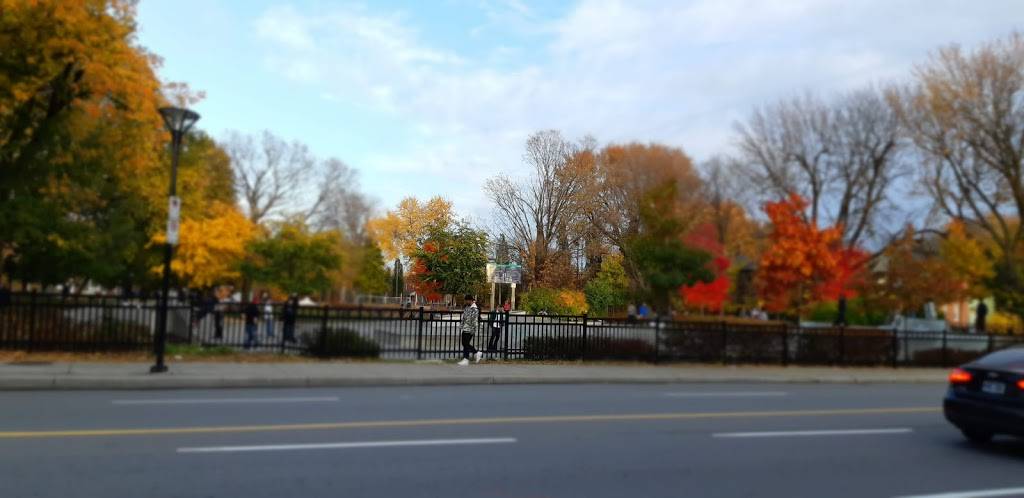 Bronson Pizza | restaurant | 370 Bronson Ave, Ottawa, ON K1R 6J3, Canada | 6132383800 OR +1 613-238-3800